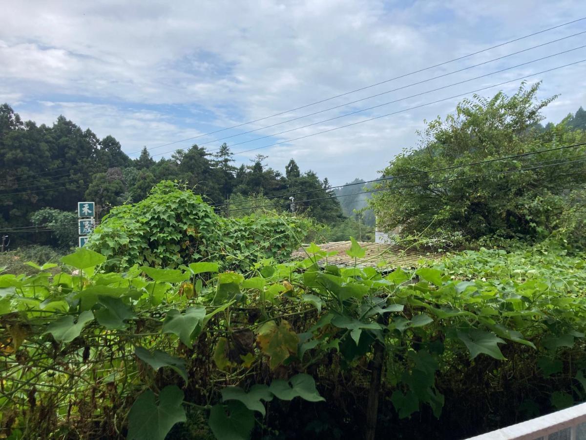 老老街誠君民宿 奋起湖 外观 照片
